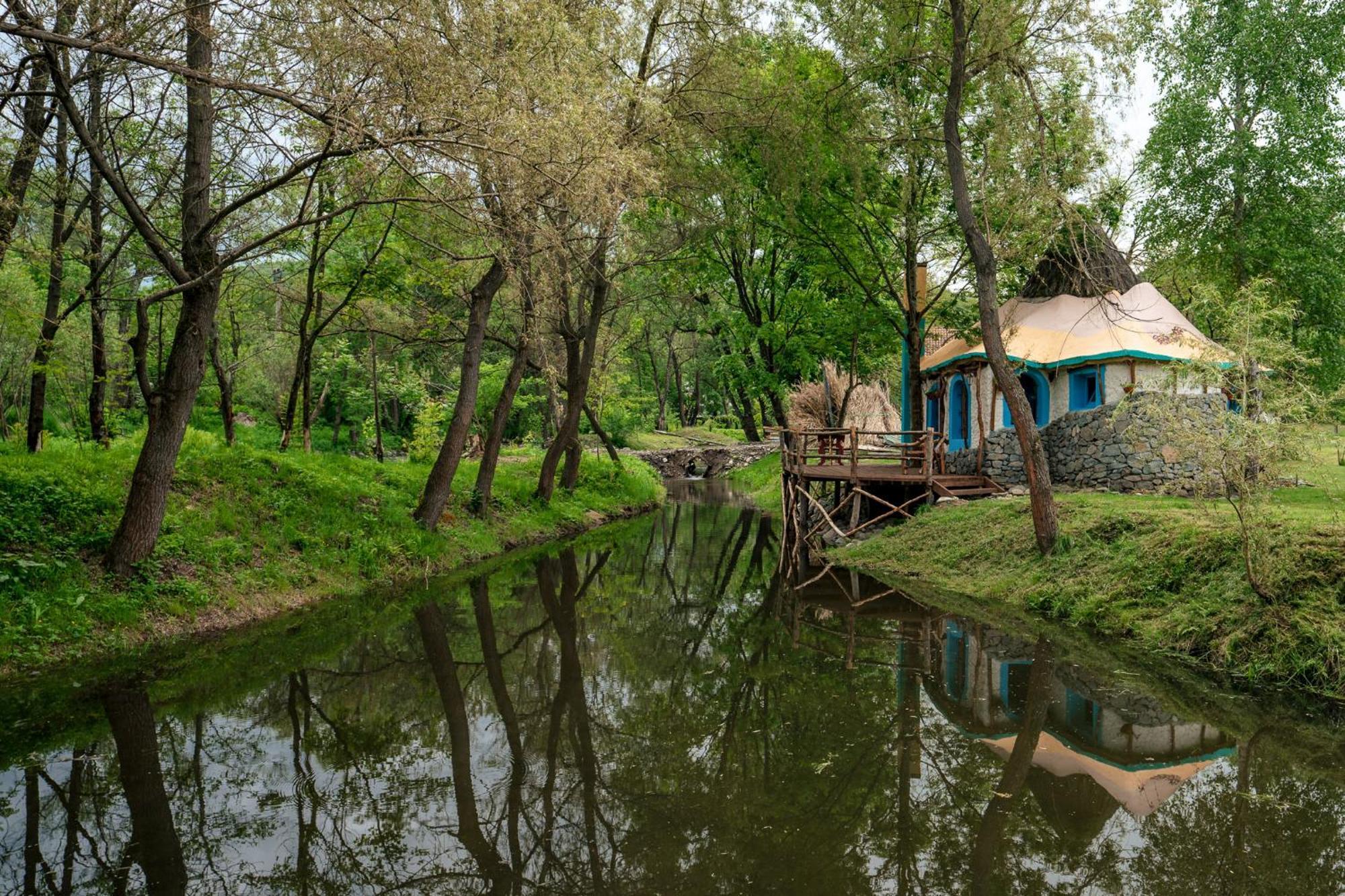 Viewtopia The Secret Land Valea Drăganului Exteriör bild