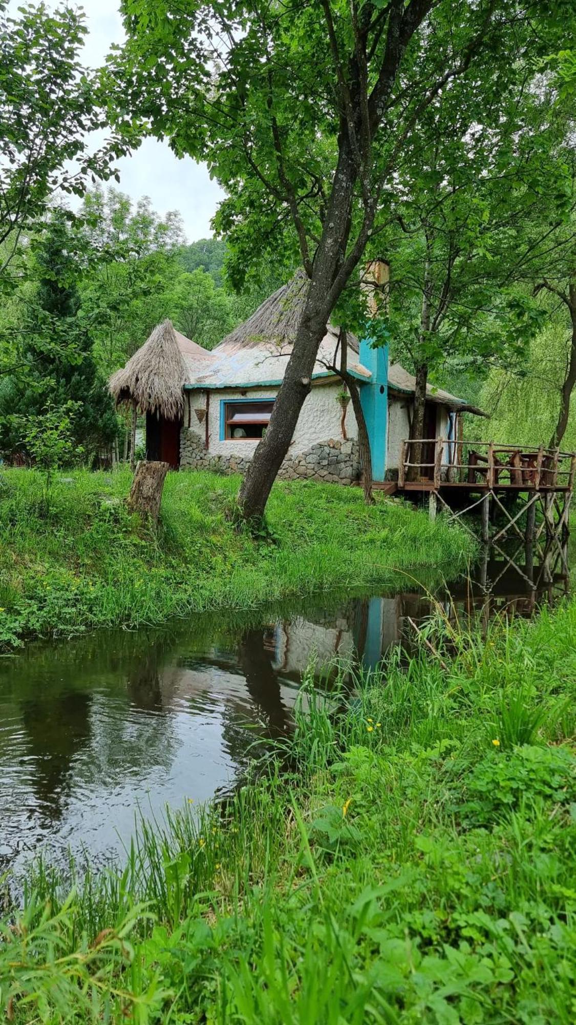 Viewtopia The Secret Land Valea Drăganului Exteriör bild
