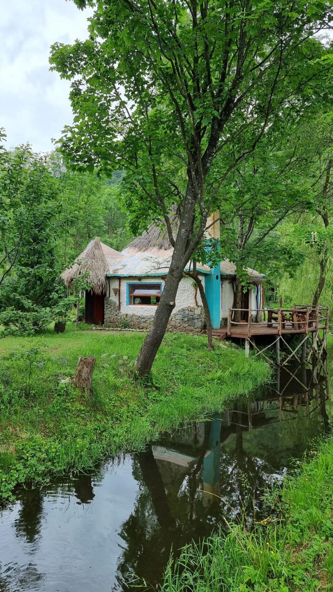 Viewtopia The Secret Land Valea Drăganului Exteriör bild